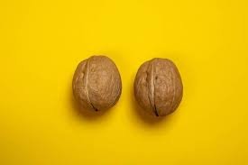 Sexóloga ensina como chupar testículos da forma certa