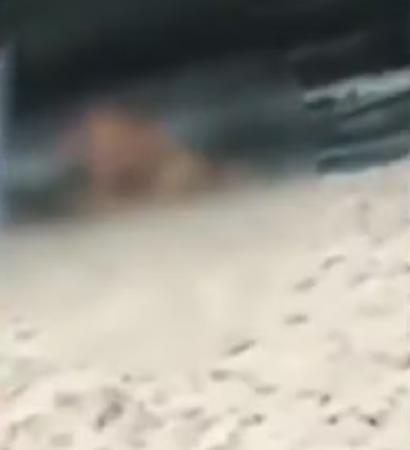 VÍDEO: Casal é flagrado fazendo sexo em público na praia da Ponta Verde