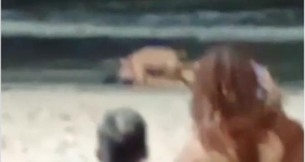 Polícia Civil abre investigação para identificar casal filmado em cena de sexo na praia da Ponta Verde