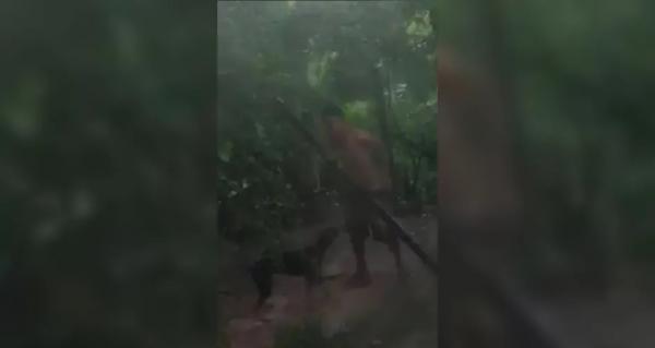 MP denuncia homem filmado cometendo zoofilia com um cachorro em Maceió