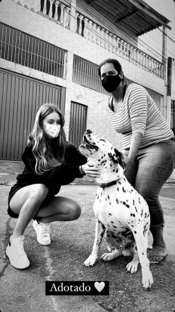 Marina Ruy Barbosa adota cachorro surdo