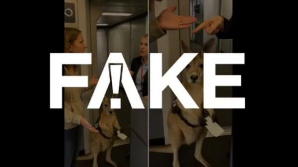 É #FAKE vídeo de canguru sendo impedido de embarcar em avião; cena foi produzida com inteligência artificial