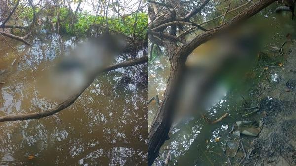 Corpos de irmãos que estavam desaparecidos são encontrados na Lagoa Mundaú, em Maceió