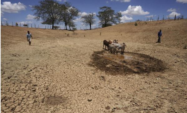 ONU: seca poderá ser a próxima pandemia